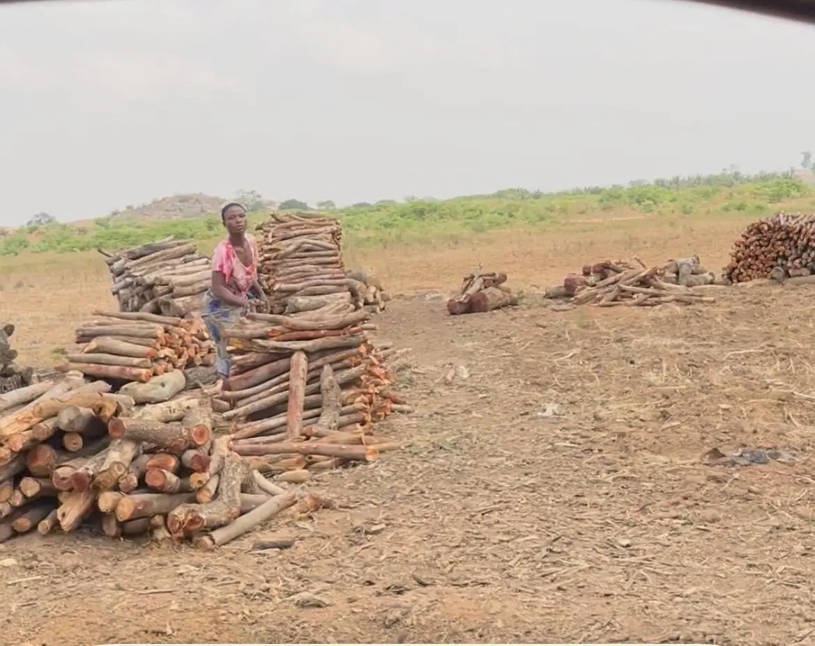 A woman beside collected firewood in Piko Village