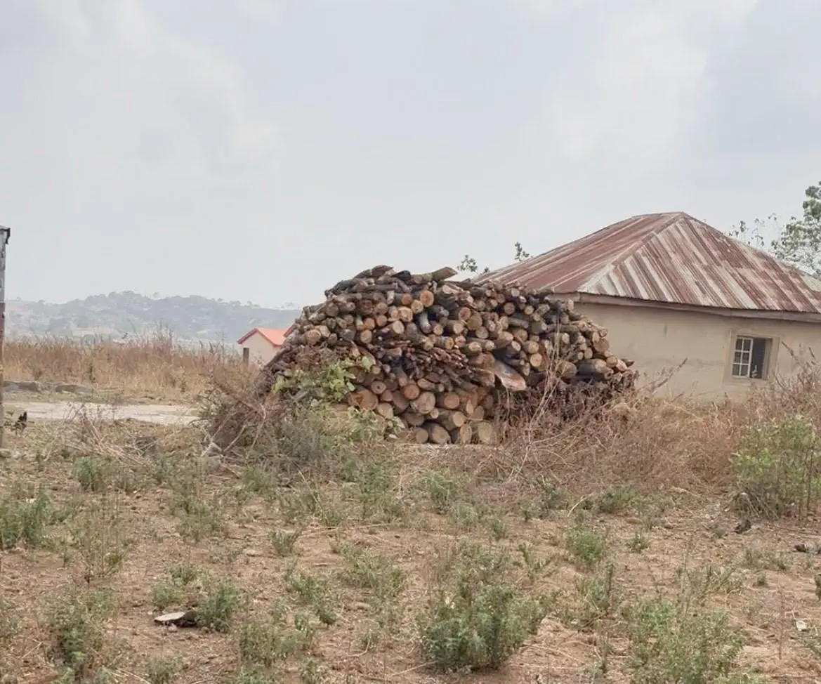 A large stack of household firewood in Piko Village
